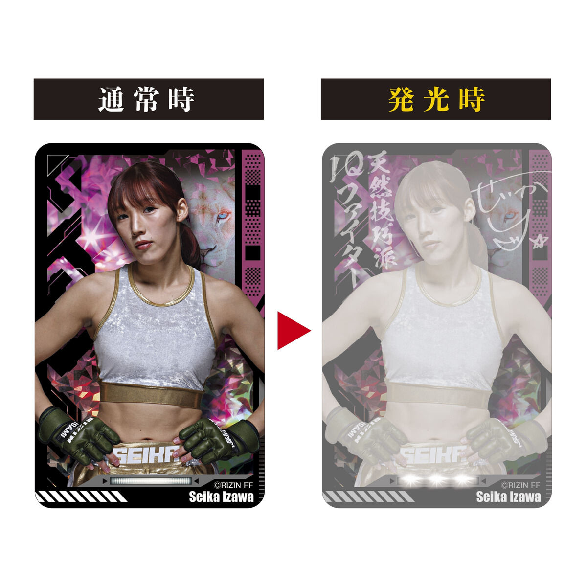 第五人格 PIICA+ クリアパスケース サバイバーコレクション 心眼