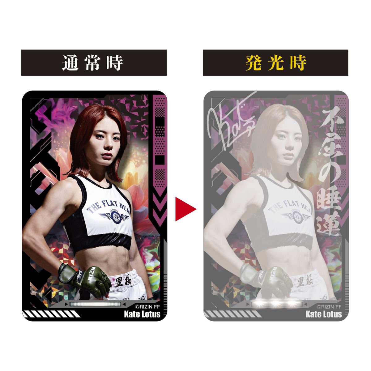 第五人格 PIICA+ クリアパスケース サバイバーコレクション 呪術師 ハピクロ！】第五人格 PIICA＋クリアパスケース サバイバー