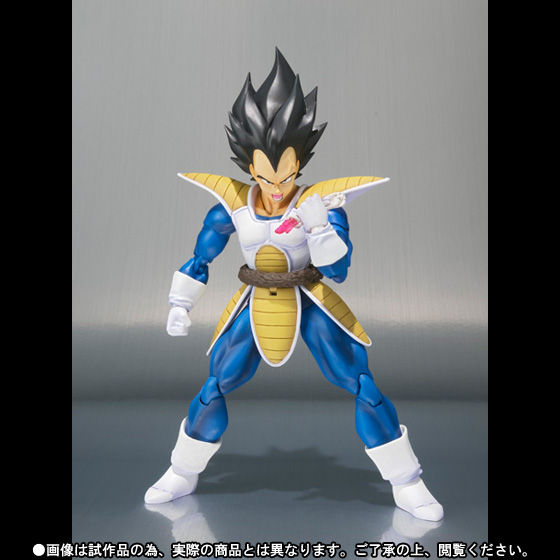 S.H.Figuarts xW[^