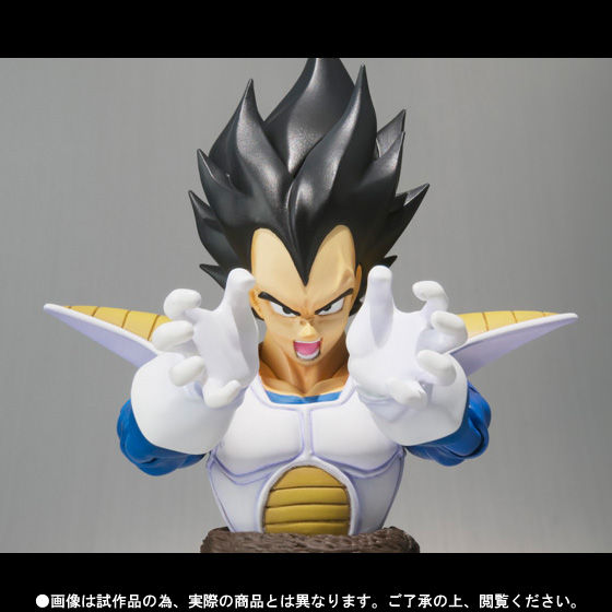 S.H.Figuarts xW[^