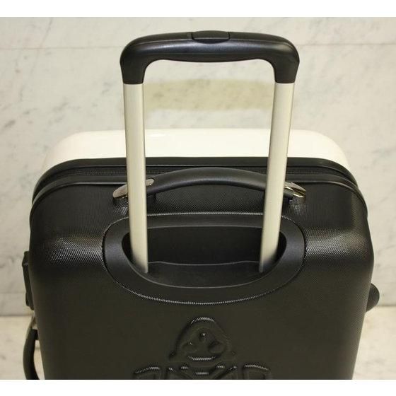 ���ʃ��C�_�[�t�H�[�[�@���ʃ��C�_�[���X�[�c�P�[�X H66cm