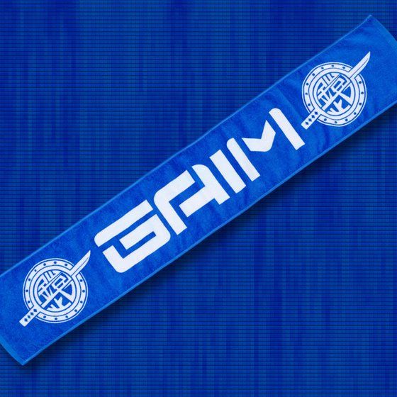 ʃC_[Z@TEAM GAIMi`[Zj }t[^I