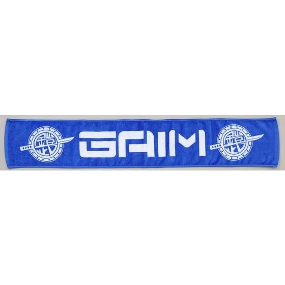 ʃC_[Z@TEAM GAIMi`[Zj }t[^I