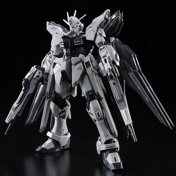 RG ストライクフリーダムガンダム デスティニーガンダム ディ RG ストライクフリーダムガンダム デスティニーガンダム ディ