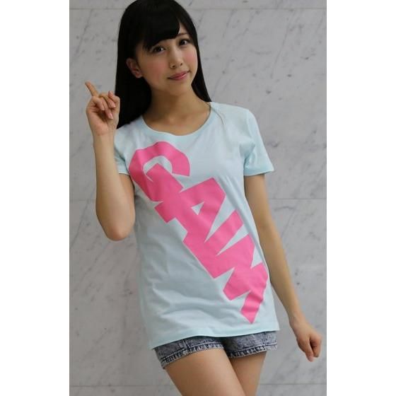 ʃC_[Z TEAM GAIMi`[Zj sVc@S@fB[X@~g