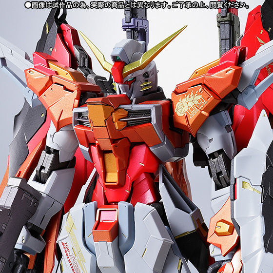 【100%新品2024】METALBUILD デスティニーガンダム ハイネ機 機動戦士ガンダムSEED DESTINY (開封品) 機動戦士ガンダムSEEDデスティニー