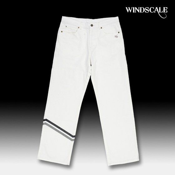ʃC_[W@WIND SCALE C@pc