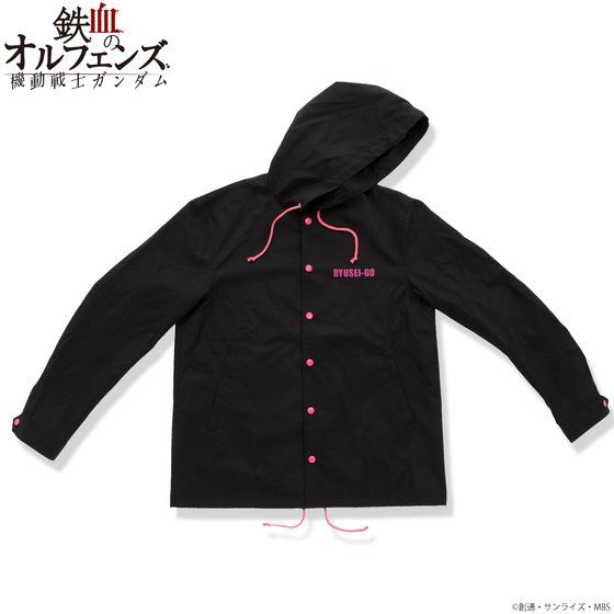 �@����m�K���_�� �S���̃I���t�F���Y �t�[�h�t�u���]��