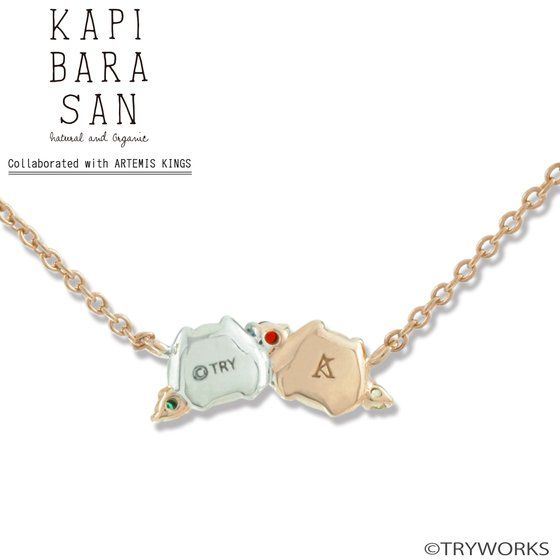 �J�s�o������~ARTEMIS KINGS�@�y���_���g