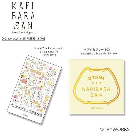 �J�s�o������~ARTEMIS KINGS�@�y���_���g