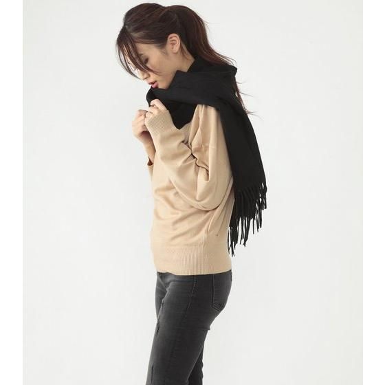 ���ʃ��C�_�[W WIND SCALE �J�V�~������X�g�[��