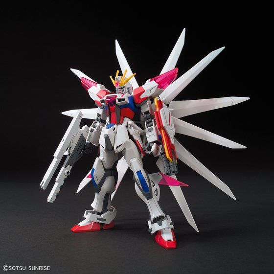 HG1/144 ビルドストライクギャラクシーコスモス &MG1/100ナドレ-