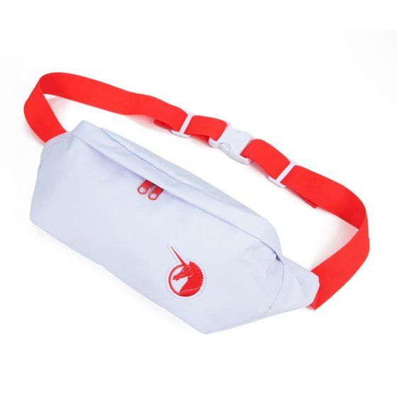 �@����m�K���_��UC �E�G�X�g�o�b�O