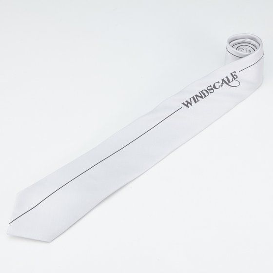 ���ʃ��C�_�[W WIND SCALE�@�l�N�^�C�@���S��