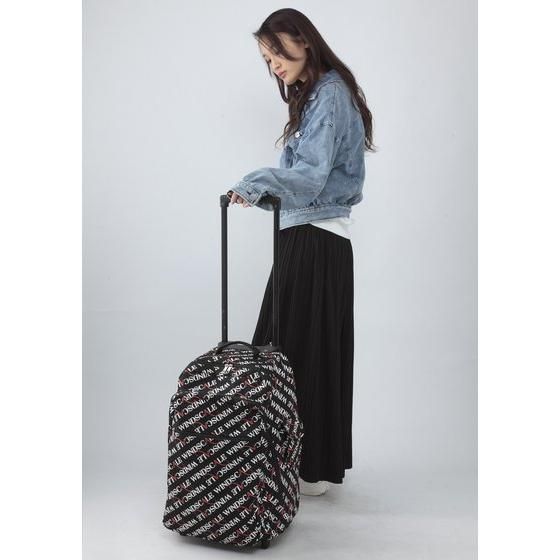 �y���������z���ʃ��C�_�[W�@WIND SCALE �\�t�g�L�����[�P�[�X�i2�ցj