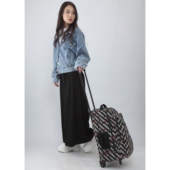 �y���������z���ʃ��C�_�[W�@WIND SCALE �\�t�g�L�����[�P�[�X�i2�ցj