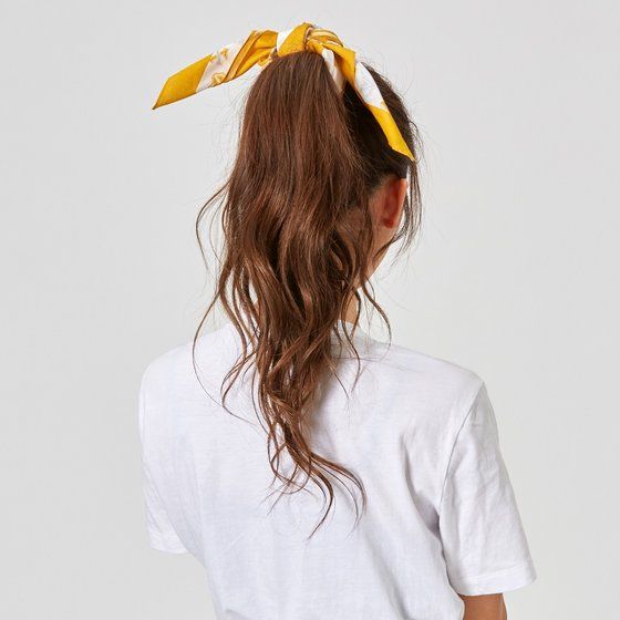 ����������p�������W���[VS�x�@����p�g�����W���[�@�o���_�i