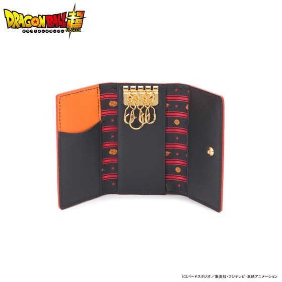 �h���S���{�[�����@�{�v�L�[�P�[�X