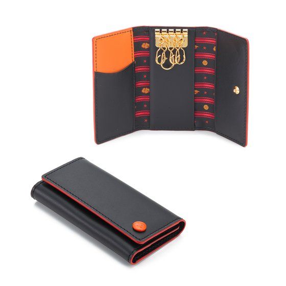 �h���S���{�[�����@�{�v�L�[�P�[�X