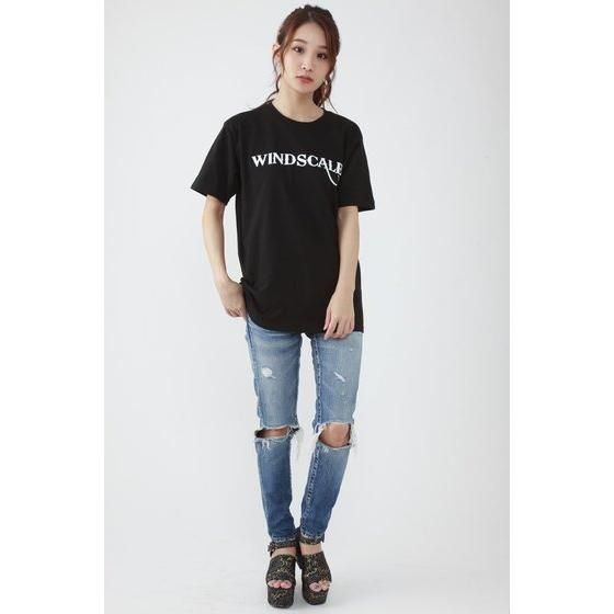 ���ʃ��C�_�[W�@WIND SCALE�@T�V���c�i���m�g�[���v�����g�j