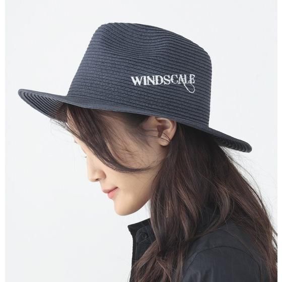 ʃC_[v@WIND SCALE@y[p[~hu[h܂HAT