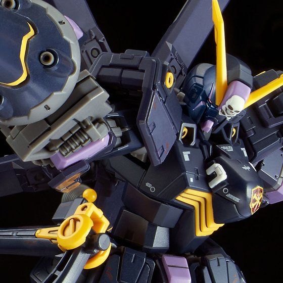 RG クロスボーンガンダム X1 X2 プレミアムバンダイ 完成品 水転写