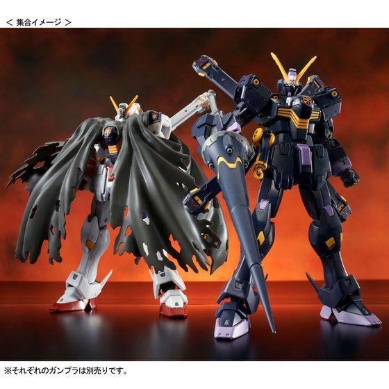 新品 RG クロスボーンガンダムX1 クロスボーンガンダムX2 プラモデル