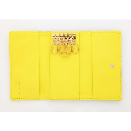 ���ʃ��C�_�[�[�������@�{�v�L�[�P�[�X