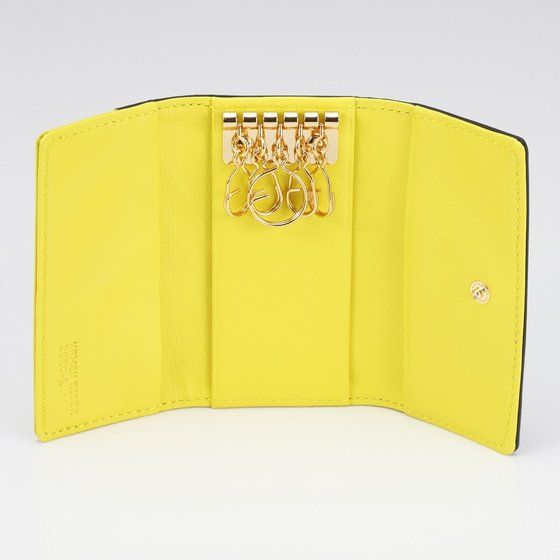 ���ʃ��C�_�[�[�������@�{�v�L�[�P�[�X