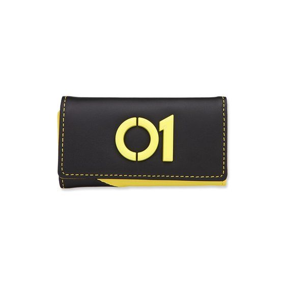 ���ʃ��C�_�[�[�������@�{�v�L�[�P�[�X