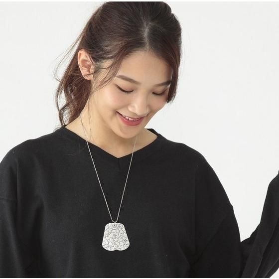 ���ʃ��C�_�[�t�H�[�[�@�����N�@�F��h�b�O�^�O