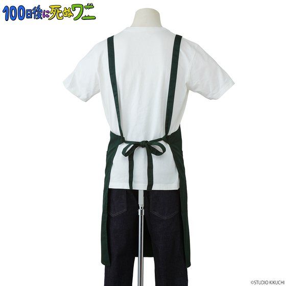 100����Ɏ��ʃ��j�@�G�v����