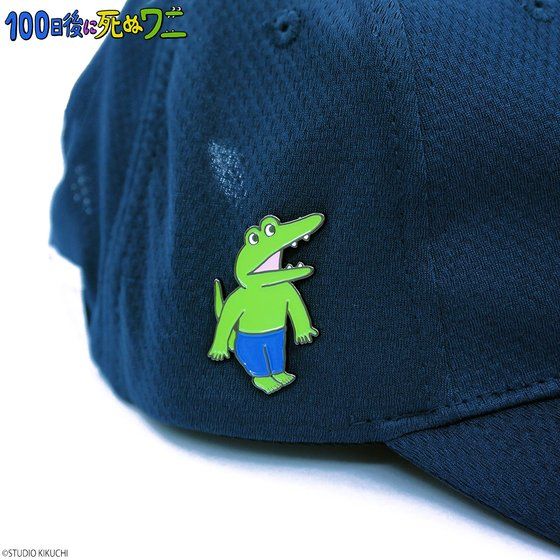 100����Ɏ��ʃ��j�@�s���Y