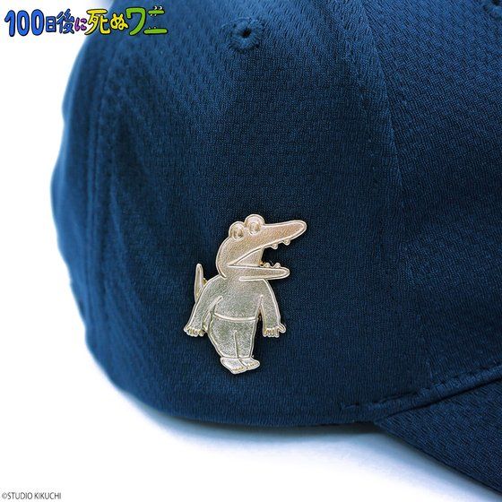 100����Ɏ��ʃ��j�@�s���Y