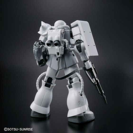 HG 1/144 ガンダムベース限定 ザクII TYPE C-6/R6 [ペインティングモデル]