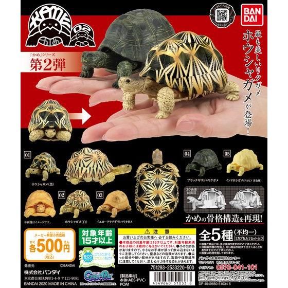 卸売新品未開封 バンダイ かめ02 1袋 20個入り 台紙1枚付 第2弾 ホウシャガメ ガチャ 亀 カメ だんごむしシリーズ ガシャポン フィギュア その他