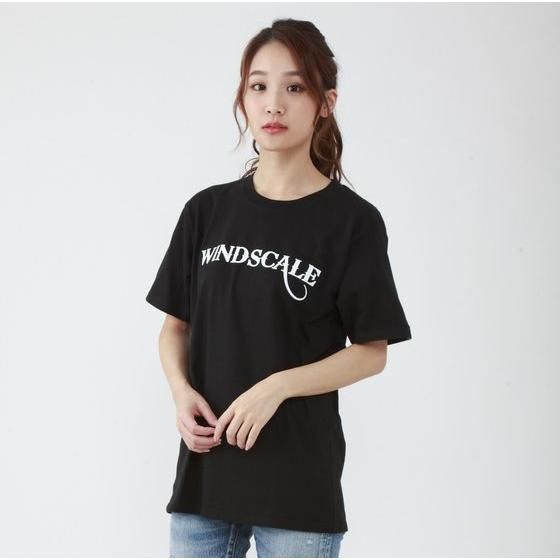 ���ʃ��C�_�[W�@WIND SCALE�@T�V���c�i���m�g�[���v�����g�j