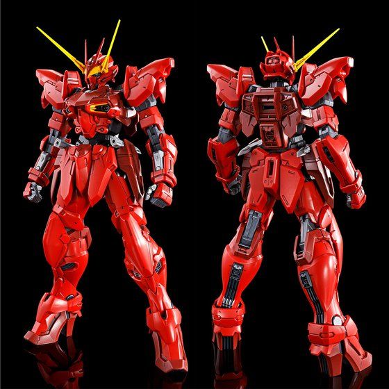 新しい季節 MG テスタメントガンダム未組立 模型、プラモデル 