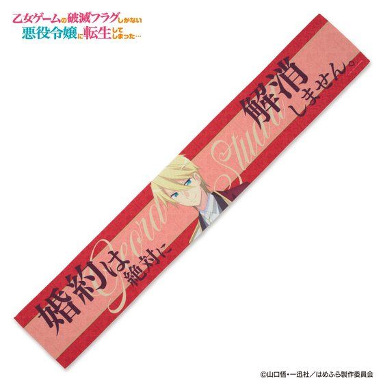 Q[̔jŃtOȂߏɓ]Ă܂c}t[^I