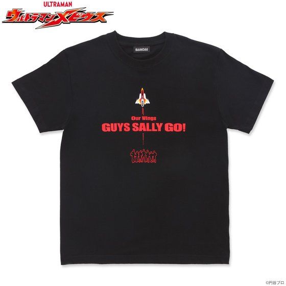 Eg}rEX@GUYS SALLY GO!@TVc
