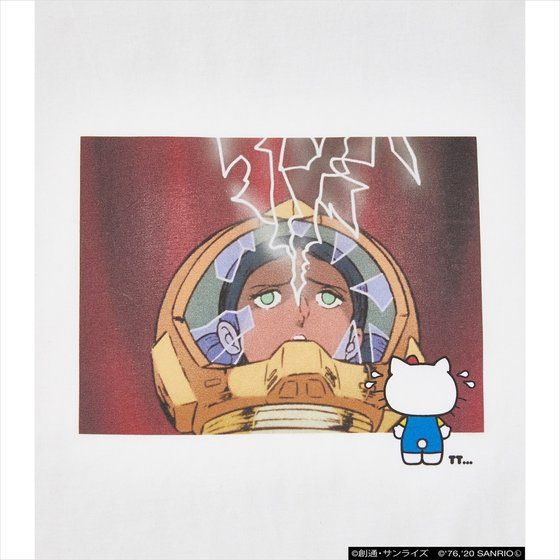 �K���_���~�n���[�L�e�B�~R4G   �e�V�[���J�b�g���n���[�L�e�B�������������V���[�YT