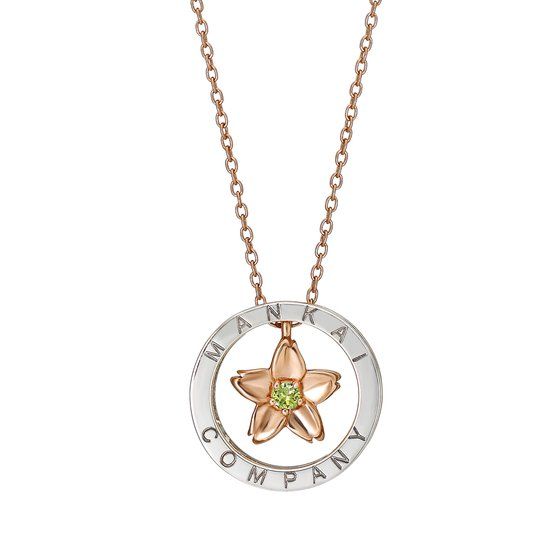 �wA3!�x�~TAKE-UP�~BANDAI �R���{�W���G���[�@�l�b�N���X���t�g��