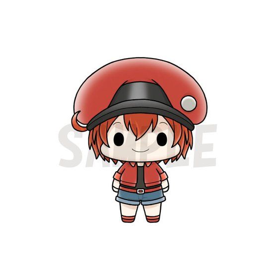 傱}XRbg  ͂炭זE Zbg