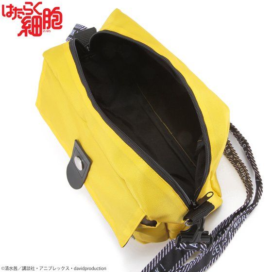 ͂炭זE fUCrbO|[`