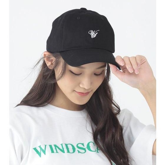 ʃC_[v@WIND SCALE@Lbv