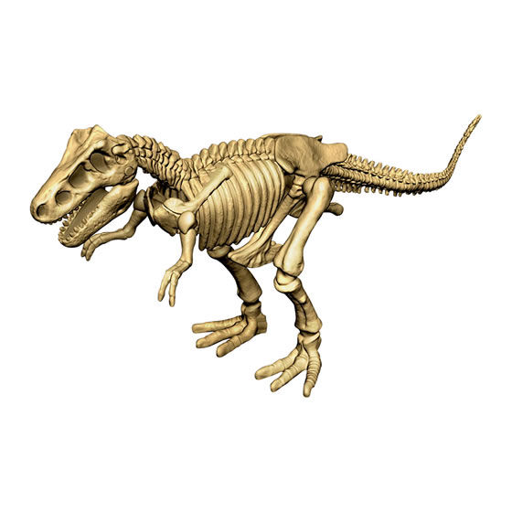 ガシャポンで発掘 恐竜化石 ガシャポンオフィシャルサイト