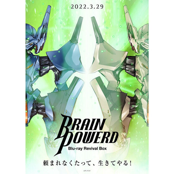 up[h@Blu-ray Revival BoxiŁjy撅wTtz