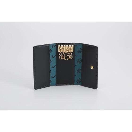 ���ʃ��C�_�[�[���m�X�@�{�v�L�[�P�[�X