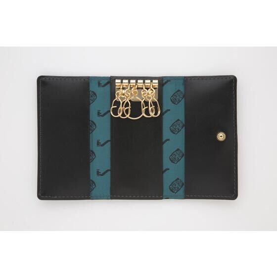 ���ʃ��C�_�[�[���m�X�@�{�v�L�[�P�[�X