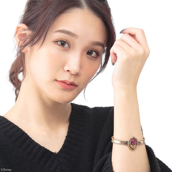 �f�B�Y�j�[�c�C�X�e�b�h�����_�[�����h �t�����[�o���O�� �n�[�c���r����